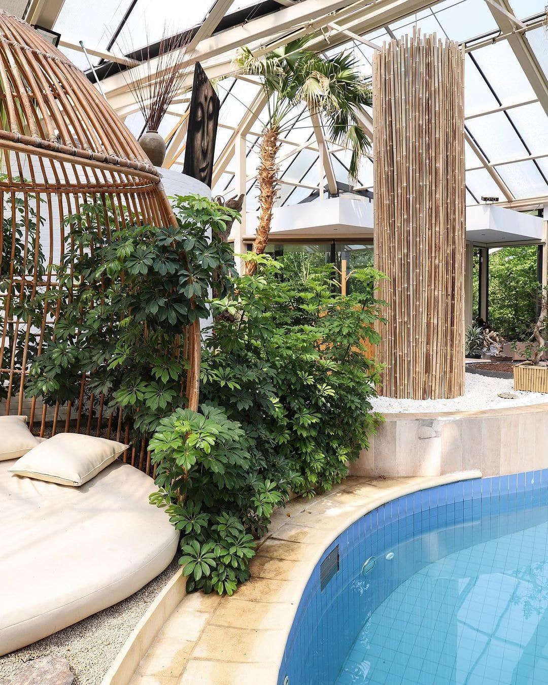 La piscine intérieure, sous verrière